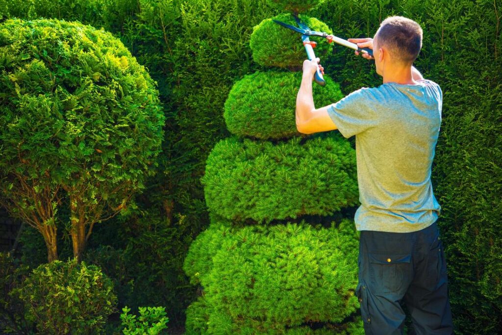 Tree Care Port St. Lucie Landscapers Fl